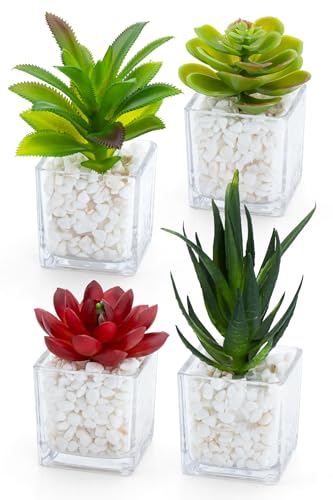 October1st tFCNO[ ϗtA lH 4_Zbg lHA p G}H  CeA  ~j indoor plants lHA fake plant   sv 蕨 Mtg ̓ ̓ v[