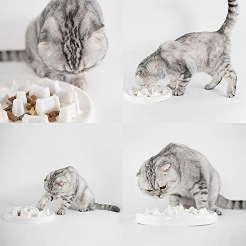 Avafort Anti-Gulping Dog Cat Ceramic Bowl Slow Feeder Interactive Bloat Stop Pet Bowl For Fast Eaters Heavy Duty (Fish Shape) #TOP6