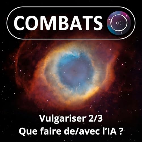 HORS-S&Eacute;RIE Vulgariser 2/3 : Que faire de/avec l'IA ? (Renaud Pourpre / Exaltia)
