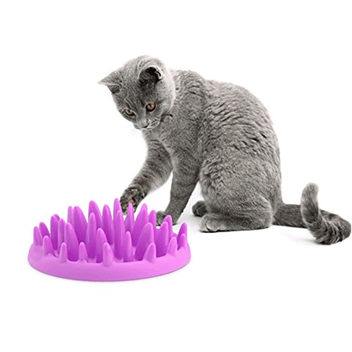 Patgoal Large Cats Catch Interactive Feeder Bowl Slow Feed Bloat Stop Pet Bowl (Purple)