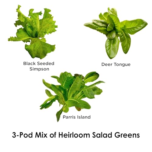 AeroGarden Heirloom Salad Greens Mix Seed Pod Kit - Salad Kit for AeroGarden Indoor Garden, 3-Pod - Thumbnail 2
