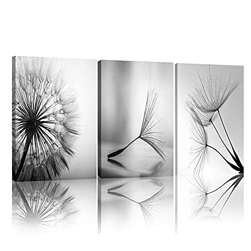 Peinture sur toile pissenlit moderne art noir blanc affiche murale salon 50x70cm x3