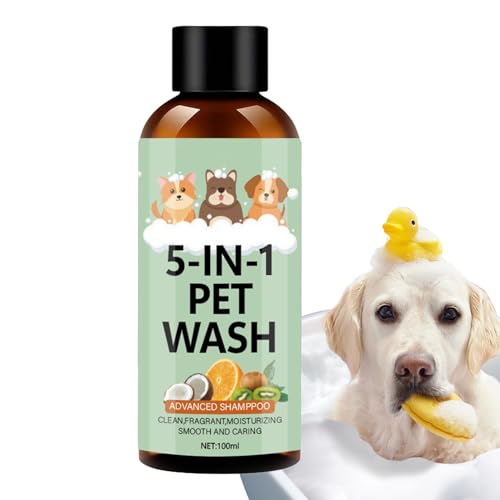 Hongmidy ps[ Vv[,100ml t qp EHbV - ێybgEHbV - _ L  L  PA RfBVjO  N[jO p