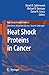 Heat Shock Proteins in Cancer