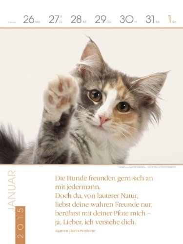 Katzen 2015: Literatur-Wochenkalender