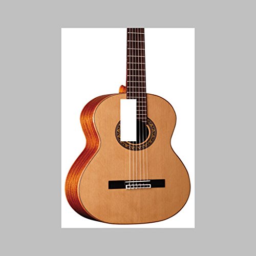 ACOUSTIC GUITAR SINGLE Light Switch Plate/Cover Handmade