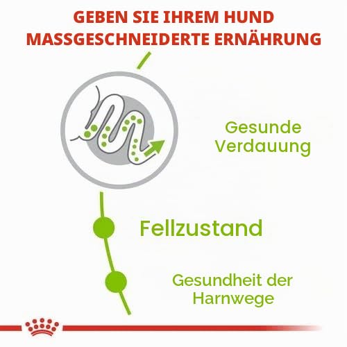 X-Small Adult | Trockenfutter für sehr kleine Erwachsene Hunde | 2 x 500 g – Ansicht 6