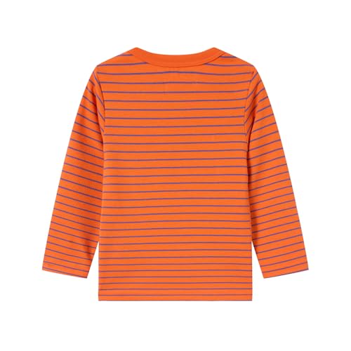Image of LittleSpring Unisex Kids Long Sleeve Striped Tee Shirt Tagless Crew Neck Cotton T-Shirt