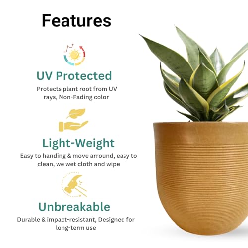 Image of Amazon Brand - Umi 10 Inch Large Plastic Planter Pot for Indoor Outdoor Plants | Big Size Garden Gamla UV Resistant Polymer Flower Pot | Brown Decorative Pot for Balcony, Garden, Terrace & Home Decor