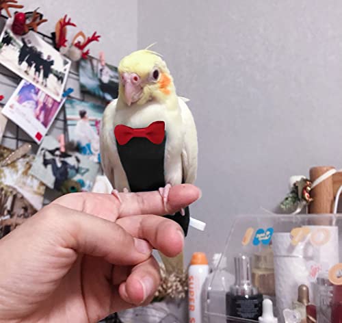 KUSO Pañal de loro reutilizable lavable pañales de vuelo vestido kimono ropa para pájaros periquitos cacatúa conure cacatúa guacamayo africano (XXL, negro)