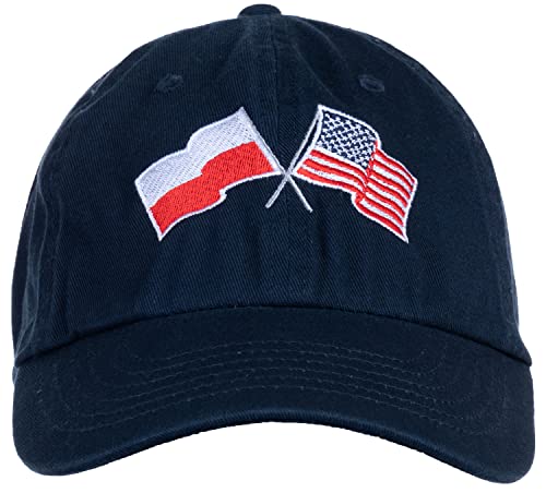 Image of Ann Arbor T-shirt Co. American Friendship Nations Flag Baseball Low Profile Dad Hat for Men Women