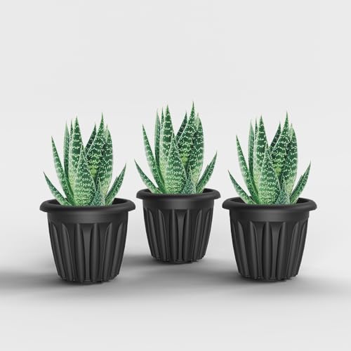 Image of YUCCABE ITALIA SHERA Floot Plastic Flower Pot Round Planter Suitable for Indoor Outdoor Kitchen Garden (Grey, 6 INCH - 3 Pcs)