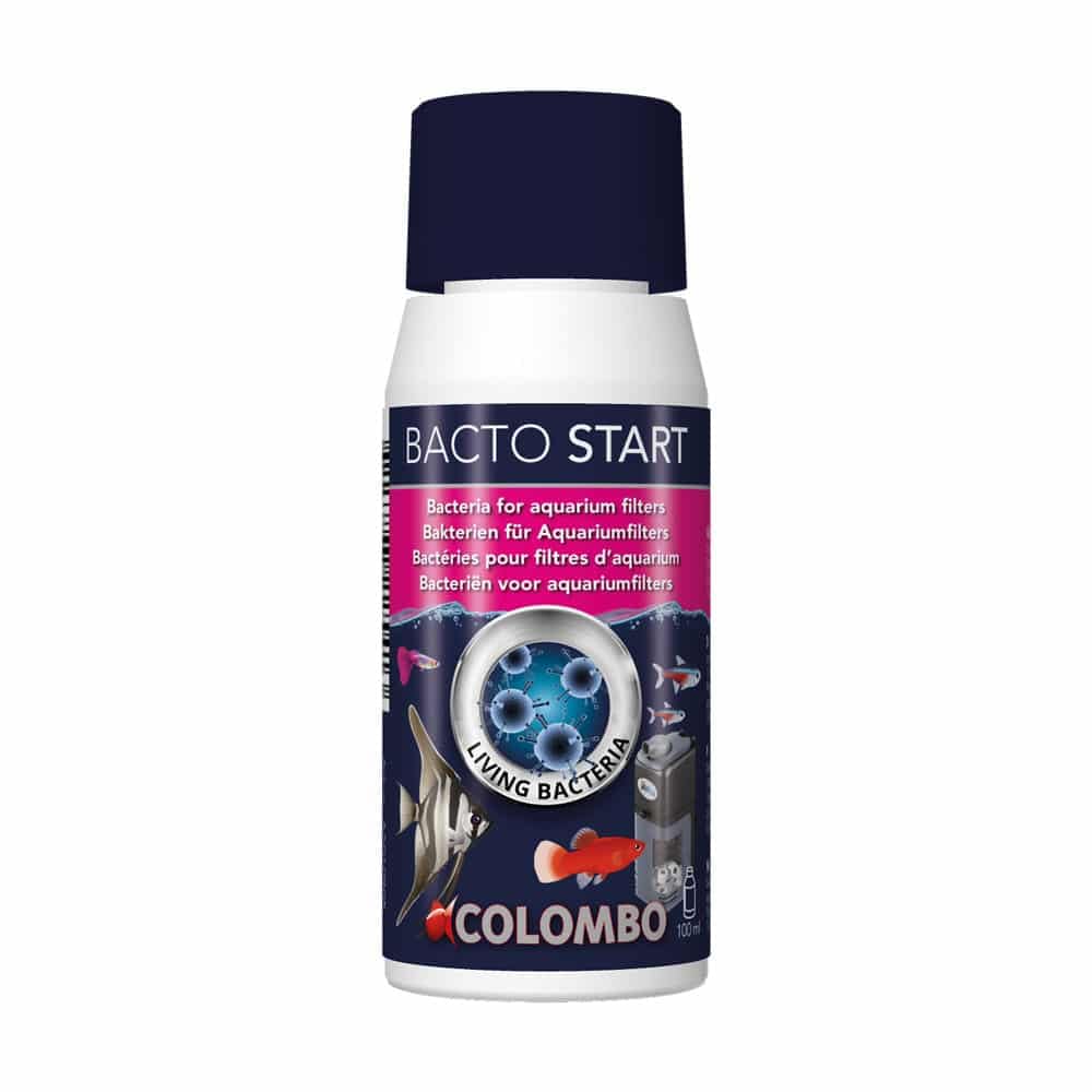 Superfish Bacto Start 100 ml