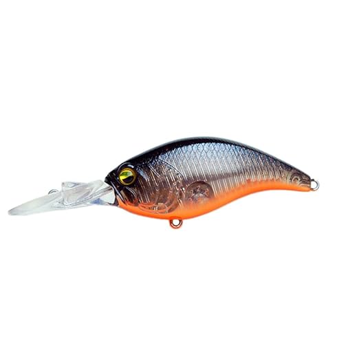 ���C�h�W���p��(Raid Japan) LEVEL CRANK MID (���x���N�����N �~�b�h) 014.�X�P���g�� (LCM014-SKELETON)