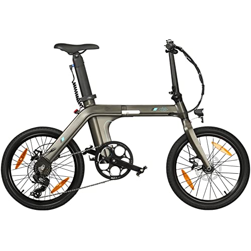 FIIDO D21 Folding Electric Bike