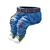 Photo Gallery tianwlio vaso da fiori in jeans, per piante grasse, per piante d appartamento, cactus, piante, vasi da fiori, per ufficio, giardino, soggiorno, decorazione moderna Photo Gallery tianwlio vaso da fiori in jeans, per piante grasse, per piante d appartamento, cactus, piante, vasi da fiori, per ufficio, giardino, soggiorno, decorazione moderna