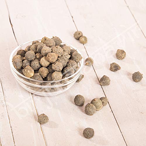 Birju Mahavir 50 GR MAJUPHAL - QUERCUS INFECTORIA