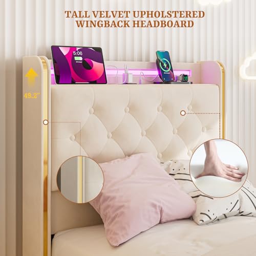 https://m.media-amazon.com/images/I/41nZlwHVDsL.jpg