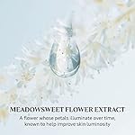 L'OCCITANE Reine Blanche Glow-Revealing Exfoliating Mask 2.60 oz - Image 4