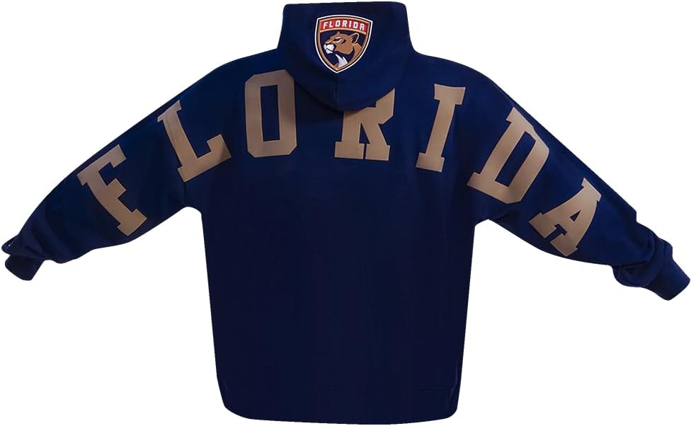 Pro Standard NHL mens Mens Nhl Wingspan Fleece Pull Over Hoodie