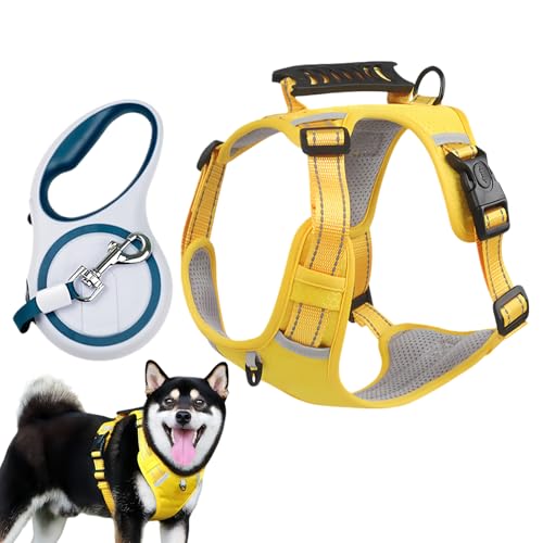 Hundegeschirr zum Spazierengehen, sichere Schnalle, ausbruchsicher, bequemes Werkzeug, Welpengeschirr für Outdoor, Garten, Hof, Rasen, Aktivitäten, Spazierengehen