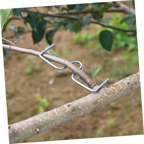Modérateurs de branches fruitières POPETPOP : clips de modélisation et support plante 10 cm - 7
