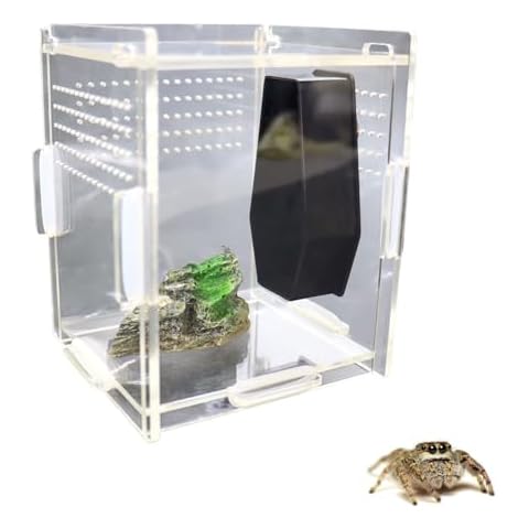pranovo 2 Pack Jumping Spider Coffin for Spoods Pet Spider Jumping Spider Magnetic Hides Jumping Spider Enclosure Ledges Jumping Spider Habitat Decor Cover