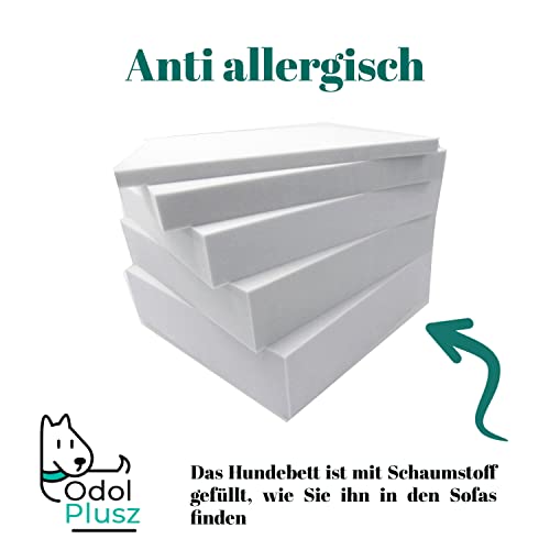 Odolplusz Hundebett mit Wendekissen 100x70cm | Hundekissen Waschbar | Füllung aus hautsympathischen 100% Polyurethanschwamm (Grau - Sterne)