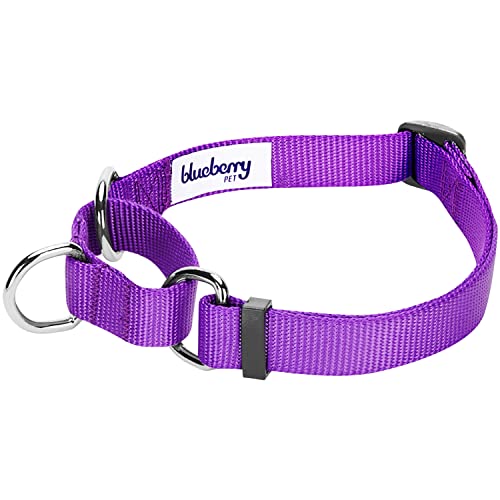 Blueberry Pet Essentials Martingale Safety Training Dog Collar, Dark Orchid, Small, Heavy Duty Nylon Adjustable Collars For Dogs #TOP1