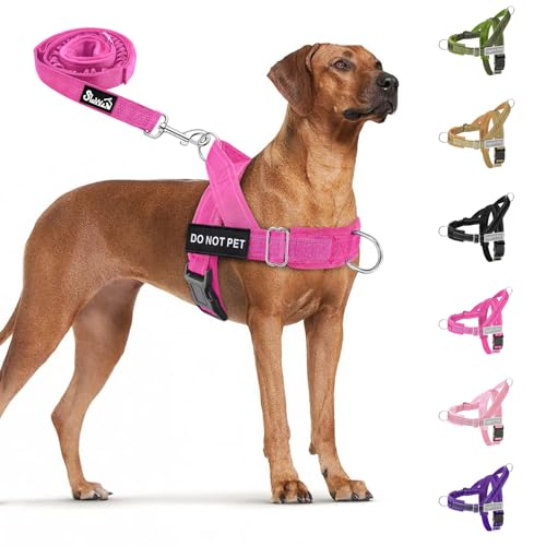 SlowTon No-Pull Tactical Harness & Leash Set (Fuchsia, Large)