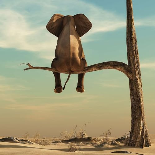 Ethical Choice : One Thing to Feel Good About cover art