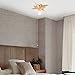 VILUXY Flush Mount Ceiling Light, Gold Star Light Fixtures Mini Ceiling Lamps with Pull Chain On/Off Switch for Hallway, Entryway, Study Room, Bedroom