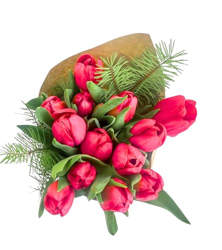 stargazer barn jingle bell bouquet red tulips fresh flowers bouquet fresh cut flowers with christmas greens - bouquet of flowers for christmas or holidays - 15 stems