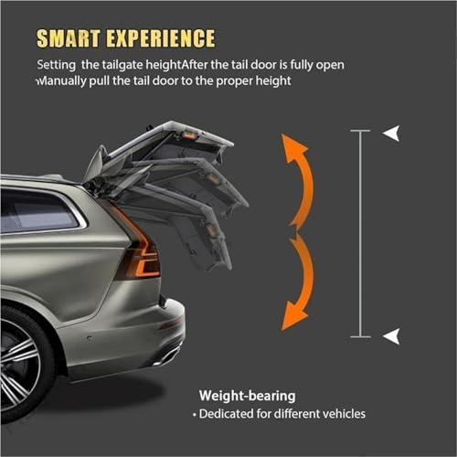 Vérins de hayon électriques Série 5 F10 coffre automatisé silencieux 2011-2016