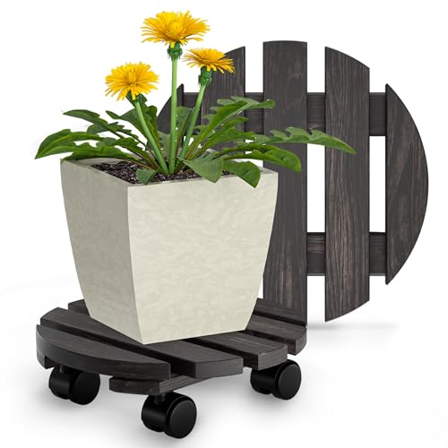 Oramics 2 Stück Pflanzenroller Rund aus Massivholz in Schwarz – Ø30 x 8 cm bis 120 KG belastbar – Rollbrett für Pflanzen, Blumentöpfe und Blumenkübel – Blumentopf Untersetzer mit 4 Rollen