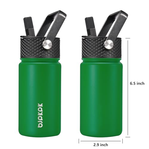 Image of BJPKPK Insulated Water Bottle, 15oz Stainless Steel with Straw Lid