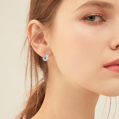 Paw Print Earrings for Women 925 Sterling Silver Pet Dog/Cat Huggie Hoops Cute Animal Jewelry Gifts for Wife Daughter Birthday Graduation2