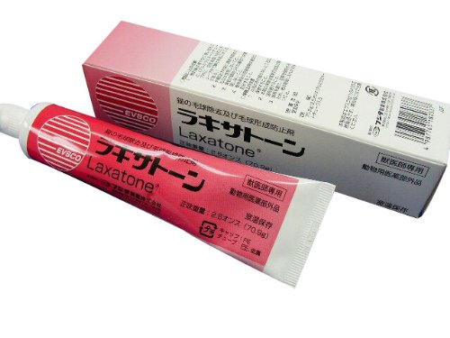 老犬の便秘対策 食事の見直しやマッサージも効果的 Qooppy