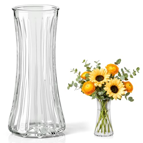 Jarrones de Cristal Transparente, Jarrón de 20 cm de Altura, Estilo Minimalista Moderno para Decoración Hogareña y Centros de Mesa, Jarrones para Flores, Ideales para Hogar, Comedor, Sala y Dormitorio