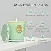 M&SENSE Bougie Parfumée en Pot Verveine, Bougie de Soja Naturelle Non Toxique,290g 10.2 oz,55 Heures de Combustion,Cadeau Parfait Pour Femme,Bougies Décoratives Colorées