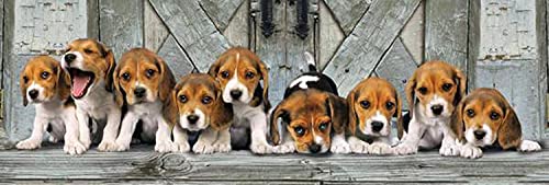 Clementoni 39435 Beagles – Puzzle 1000 Teile, Panorama Puzzle, Geschicklichkeitsspiel für die ganze Familie, Erwachsenenpuzzle ab 14 Jahren