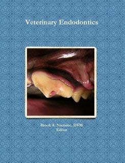 Veterinary Endodontics Veterinary Endodontics