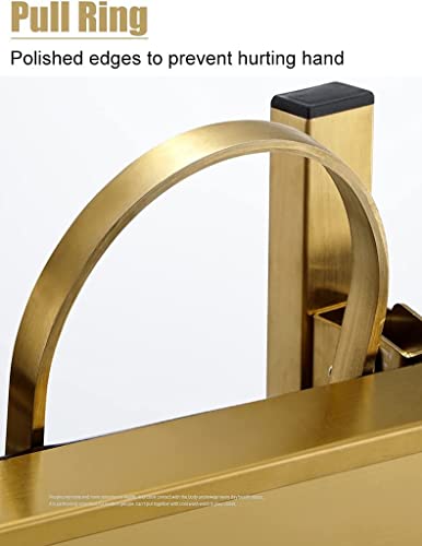 Carrello Organizer Multiuso - Carrello Pieghevole con Ruote, Supporto in Acciaio Inox Pieghevole, 2 Vassoi Portaoggetti per Centri Estetici, Tatuaggi, Spa E Barbieri.,Gold