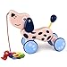 YoungRich Juego de Arrastre, Juguete Educativo para bebés Pequeño Niño Lindo Juguete Animal Palo de Arrastre para niños de 12 Meses en adelante (Perro)
