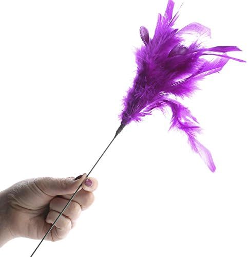 Factory Direct Craft Pack of 18 Mardi Gras Dyed Fluffy Natural Feather Picks for Decorating Mardi Gras Centerpieces, and More (Size: 14" L)