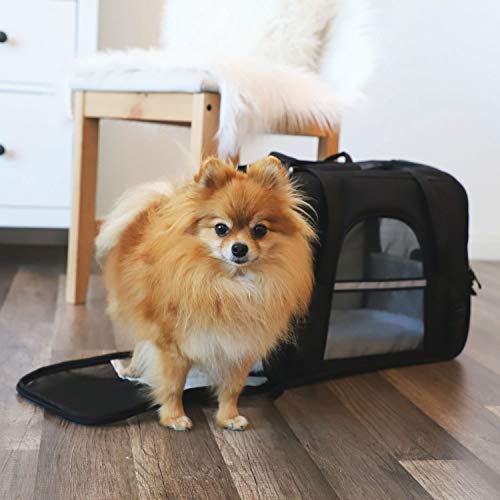 Paws & Pals Airline Approved Pet Carrier - Soft-Sided Carriers For Small Medium Cats And Dogs Air-Plane Travel On-Board Under Seat Carrying Bag With Fleece Bolster Bed For Kitten Cat Puppy Dog Taxi #TOP6