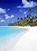 BEAUTIFUL TROPICAL SERINE POSTER CALLED PALM HIDEAWAY 36 X 24 Poster