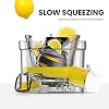 MIUI Mini Juicer 120W Single Spiral Cold Press Slow Juicer Quick Installation Easy Clean Apple Grapefruit Lemon Juice Ice Cream Simple and Stylish Easy to Store