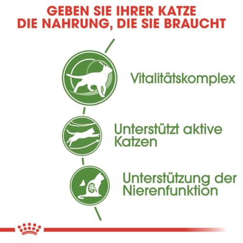 ROYAL CANIN Outdoor 7+ Trockennahrung für Katzen – 0.4 kg