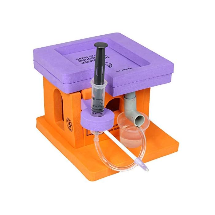 Buy ButterflyEduFields RainWater Harvesting Science Experiment Kit for